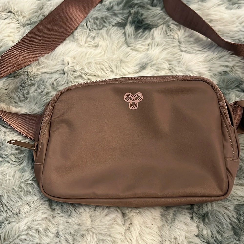 Aritizia belt bag